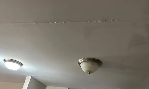 Insulation Water Damage Restoration in Banida, ID
