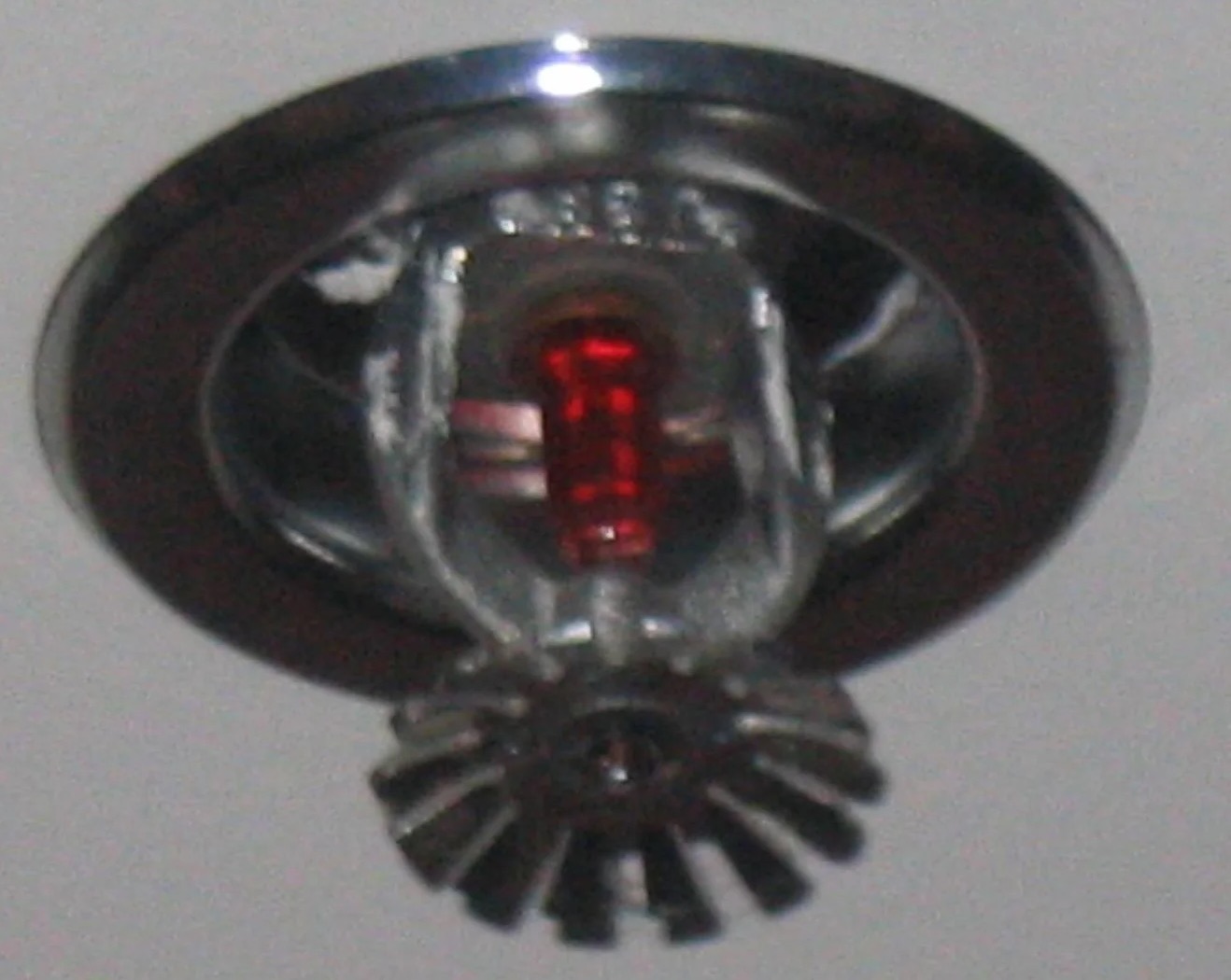 Fire Sprinkler Discharge Water Removal in Bancroft, ID