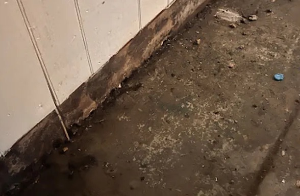 Contaminated Water Removal in Bothwell, UT